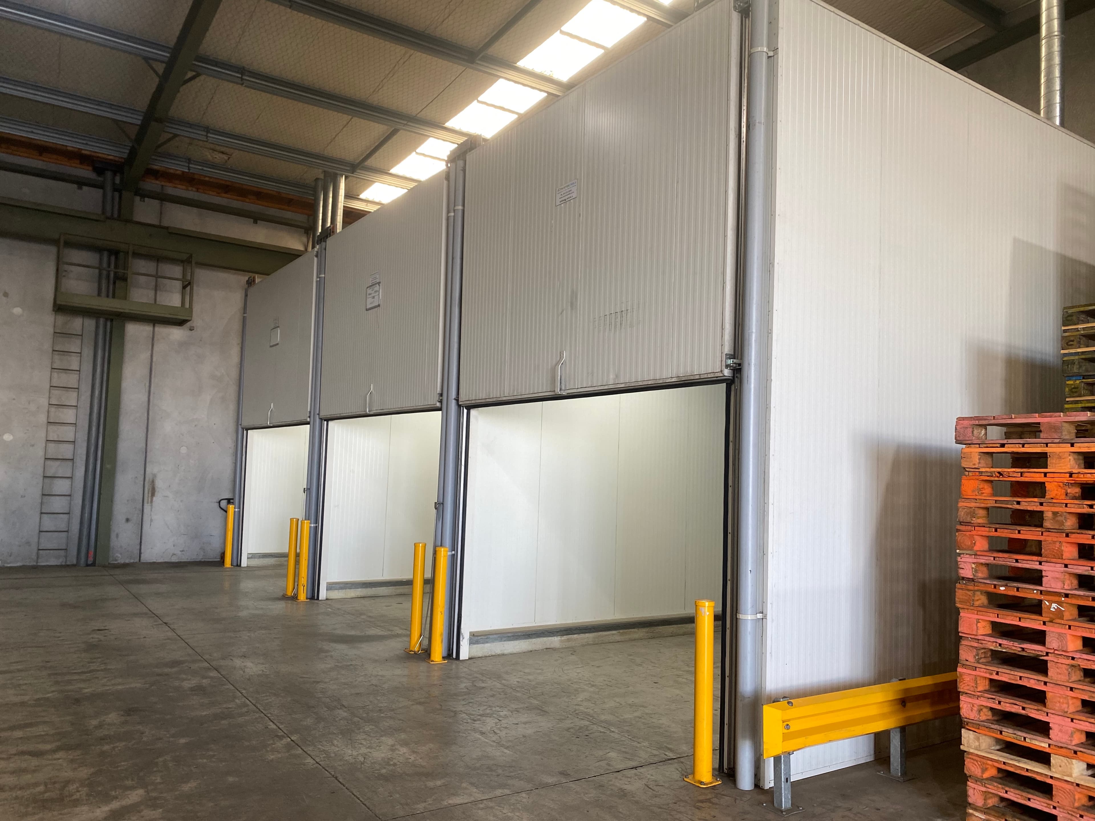 Primor Produce — produce distribution